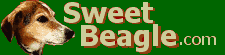 logo.gif